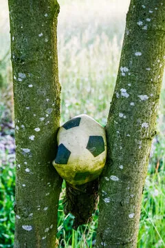 万博体育平台 标识